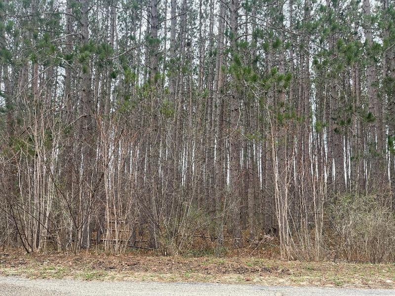 Listing Photo for Pinecrest Drive LOT 44