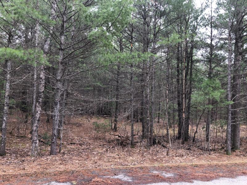 Listing Photo for 553 White Pine Drive LOT 4