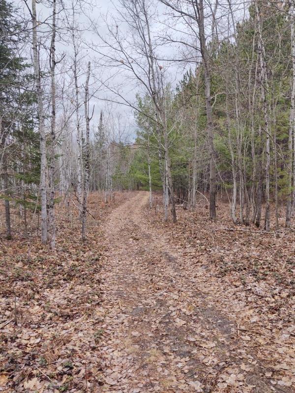 Listing Photo for M68/33 Highway STREAMFRONT ACREAGE