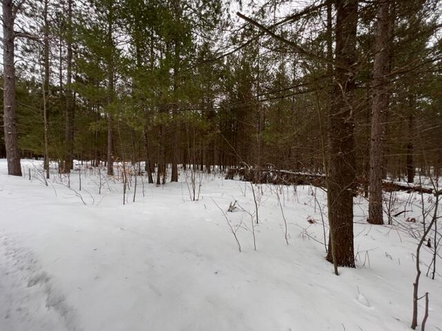 Listing Photo for 103 White Pine Drive LOT 103