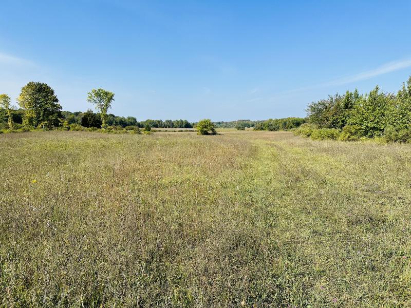 Listing Photo for S Porter Road 76 ACRES